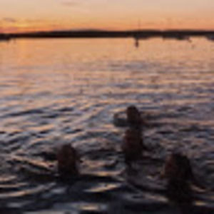 Meet your Posher, Devin